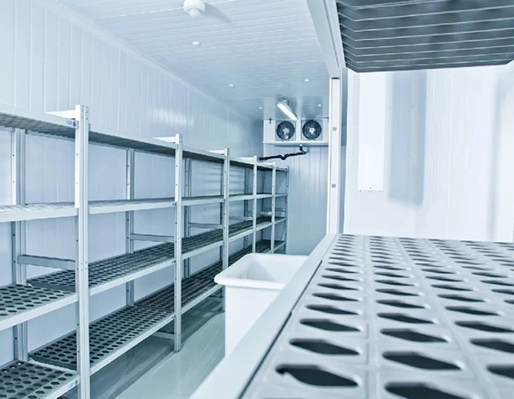 Why Choose Us for Walk-in Freezer Repair